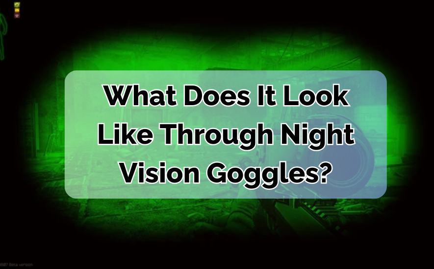 What Does It Look Like Through Night Vision Goggles?