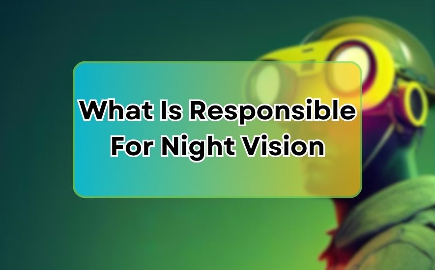 What Is Responsible For Night Vision