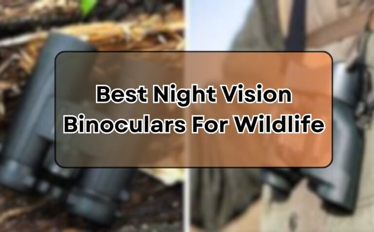 Best Night Vision Binoculars For Wildlife