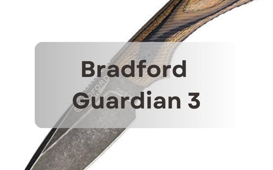 Bradford Guardian 3