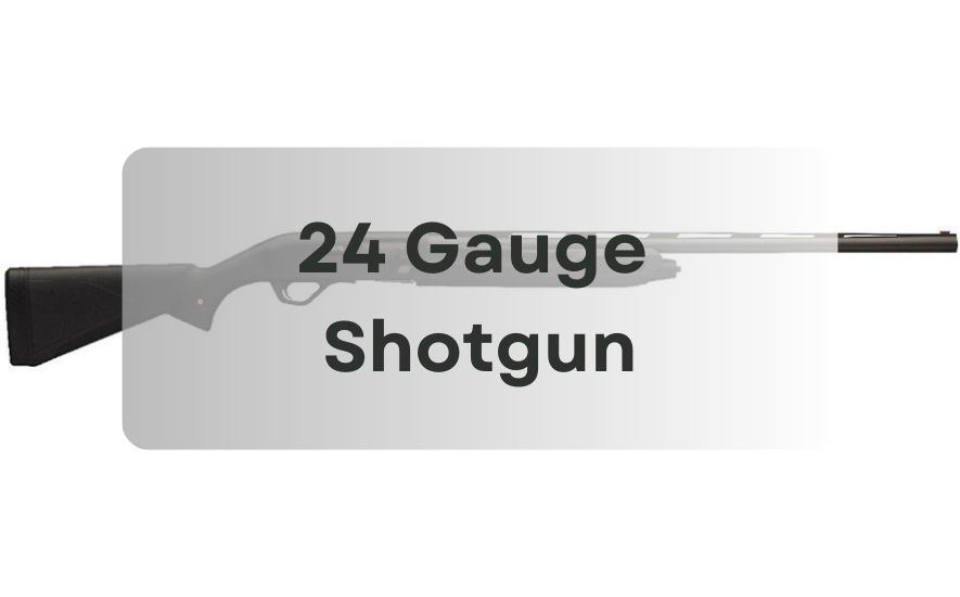 24 Gauge Shotgun