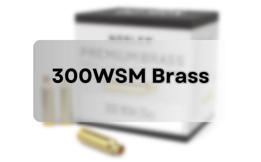 300 WSM Brass