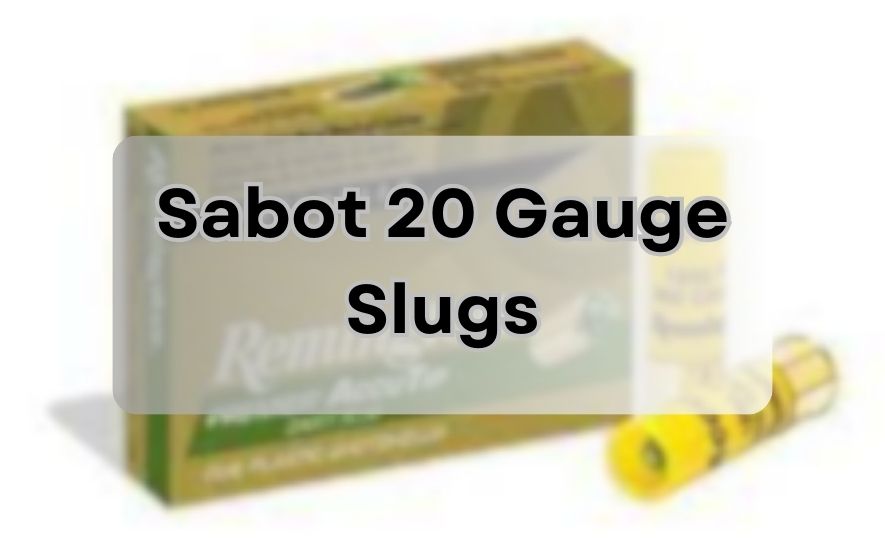 Sabot 20 Gauge Slugs
