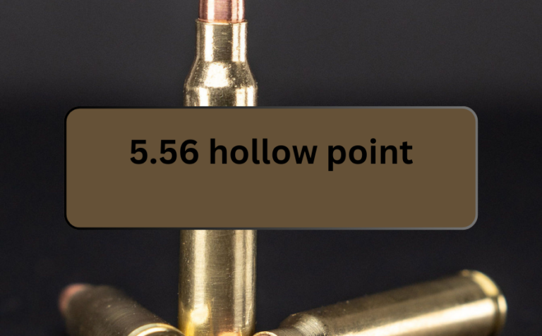 5.56 hollow point