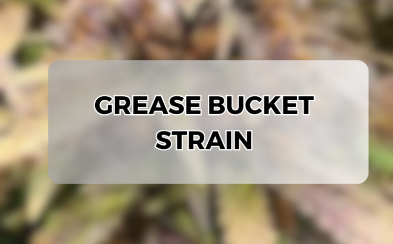 grease bucket strain